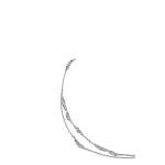 Christopher Χρυσός Σταυρός