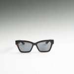 Fay Καφέ Ταρταρούγα Γυαλιά Ηλίου