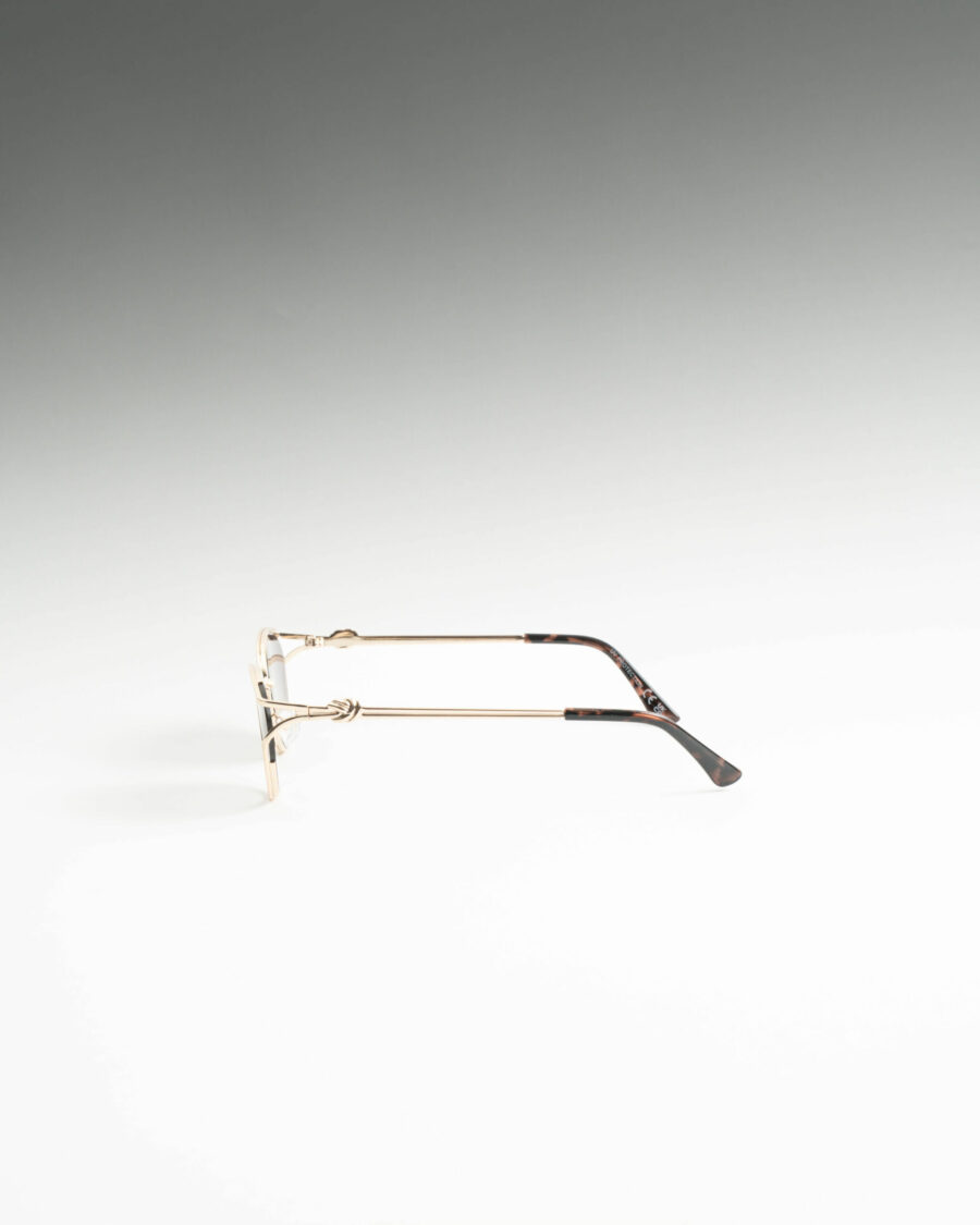 Alisa Χρυσά Καφέ Γυαλιά Ηλίου